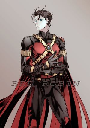 Tim as Red Robin