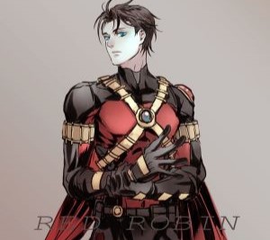 Tim as Red Robin